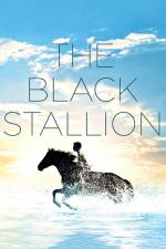 Film Černý hřebec (The Black Stallion) 1979 online ke shlédnutí