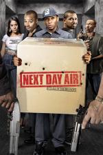 Film Sněhová nadílka (Next Day Air) 2009 online ke shlédnutí