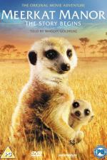 Film Království Surikat: Příběh začíná (The Meerkat Manor: Story Begins) 2008 online ke shlédnutí