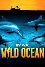 Film Divoký oceán 3D (Wild Ocean 3D) 2008 online ke shlédnutí