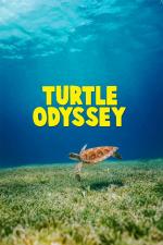 Film Turtle Odyssey (Turtle Odyssey) 2019 online ke shlédnutí