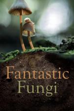 Film Fantastic Fungi (Fantastic Fungi) 2019 online ke shlédnutí