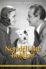 Film Neviděli jste Bobíka? (Neviděli jste Bobíka?) 1944 online ke shlédnutí