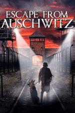 Film The Escape from Auschwitz (The Escape from Auschwitz) 2020 online ke shlédnutí