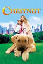 Film Roztomilý mazlíček (Chestnut: Hero of Central Park) 2004 online ke shlédnutí