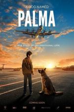 Film Palma (Palma) 2020 online ke shlédnutí