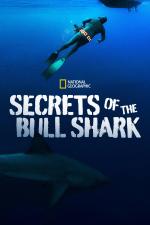 Film Tajemství žraloků bělavých (Secrets of the Bullshark) 2020 online ke shlédnutí