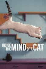 Film Co se kočce honí hlavou (Inside the Mind of a Cat) 2022 online ke shlédnutí