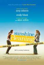 Film Jarní úklid s.r.o. (Sunshine Cleaning) 2008 online ke shlédnutí