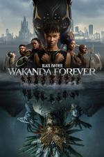 Film Black Panther: Wakanda nechť žije (Black Panther: Wakanda Forever) 2022 online ke shlédnutí