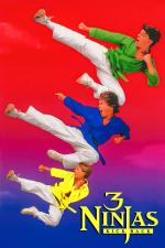 Film 3 Nindžové - Protiúder (3 Ninjas Kick Back) 1994 online ke shlédnutí