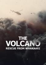 Film Sopka: Záchrana z Whakaari (The Volcano: Rescue from Whakaari) 2022 online ke shlédnutí