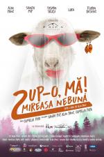 Film Pup-o, mă! 2 (Pup-o, ma!2 - Mireasa nebuna) 2021 online ke shlédnutí