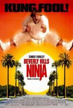 Film Tlouštík z Beverly Hills (Beverly Hills Ninja) 1997 online ke shlédnutí