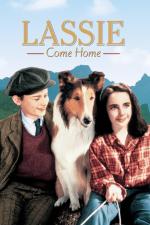 Film Lassie se vrací (Lassie Come Home) 1943 online ke shlédnutí