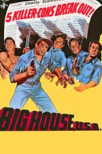 Film Big House, U.S.A. (Big House, U.S.A.) 1955 online ke shlédnutí