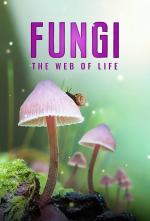 Film Houby: Síť života (Fungi: Web of Life) 2023 online ke shlédnutí