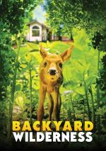 Film Backyard Wilderness (Pondemonium) 2018 online ke shlédnutí