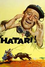 Film Hatari! (Hatari!) 1962 online ke shlédnutí