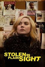 Film Stíny maloměsta (Stolen in Plain Sight) 2020 online ke shlédnutí