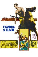 Film Zářivá hvězda (Flaming Star) 1960 online ke shlédnutí