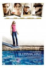 Film Opravdový život (Sleepwalking) 2008 online ke shlédnutí