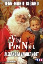 Film Táta pod stromeček (Un Vrai Papa Noël) 2008 online ke shlédnutí