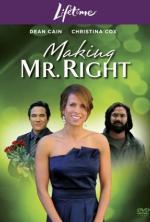 Film Ten pravý pro mě (Making Mr. Right) 2008 online ke shlédnutí