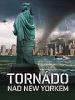 Film Tornádo nad New Yorkem (NYC: Tornado Terror) 2008 online ke shlédnutí