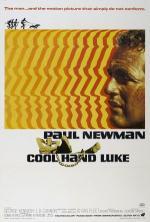 Film Frajer Luke (Cool Hand Luke) 1967 online ke shlédnutí