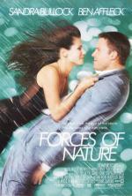 Film Živelná pohroma (Forces of Nature) 1999 online ke shlédnutí