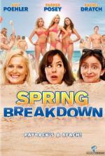 Film Jarní prázdniny (Spring Breakdown) 2009 online ke shlédnutí