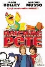 Film Maskot Pete (Hatching Pete) 2009 online ke shlédnutí