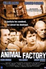 Film Věznice (Animal Factory) 2000 online ke shlédnutí