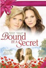 Film Svazující tajemství (Bound by a Secret) 2009 online ke shlédnutí