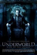 Film Underworld: Vzpoura Lycanů (Underworld: Rise of the Lycans) 2009 online ke shlédnutí