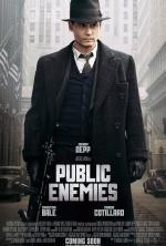 Film Veřejní nepřátelé (Public Enemies) 2009 online ke shlédnutí