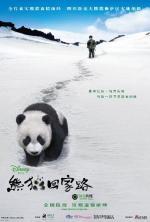 Film Xiong mao hui jia lu (Trail of the Panda) 2009 online ke shlédnutí