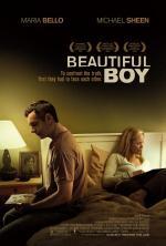 Film Krásný chlapec (Beautiful Boy) 2010 online ke shlédnutí