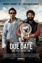 Film Na doraz (Due Date) 2010 online ke shlédnutí