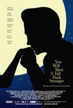 Film Poznáš muže svých snů (You Will Meet a Tall Dark Stranger) 2010 online ke shlédnutí