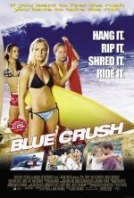 Film Osudové léto (Blue Crush) 2002 online ke shlédnutí