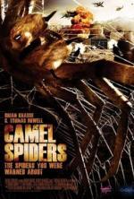 Film Pavouci útočí (Camel Spiders) 2011 online ke shlédnutí