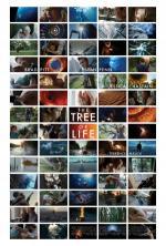 Film Strom života (The Tree of Life) 2011 online ke shlédnutí