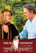 Film Darling Companion (Darling Companion) 2012 online ke shlédnutí