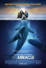 Film Máme rádi velryby (Big Miracle) 2012 online ke shlédnutí