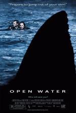 Film Otevřené moře (Open water) 2003 online ke shlédnutí