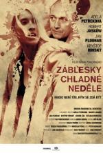 Film Záblesky chladné neděle (Záblesky chladné nedele) 2012 online ke shlédnutí