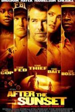 Film Když se setmí (After the Sunset) 2004 online ke shlédnutí