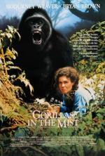 Film Gorily v mlze (Gorillas in the Mist) 1988 online ke shlédnutí